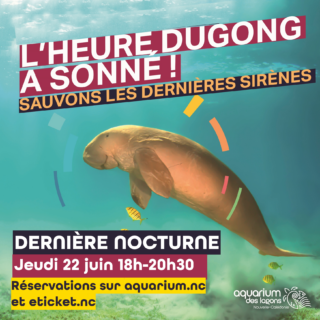 Dernière nocturne « L’heure dugong a sonné ! »