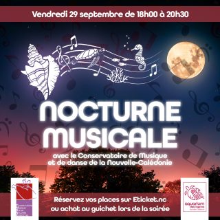 Nocturne musicale !